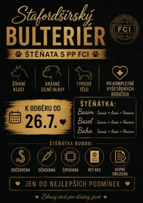 Stafordšírský bulteriér