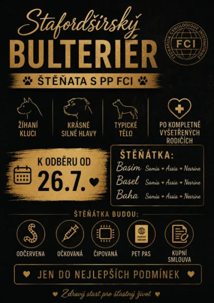 Stafordšírský bulteriér