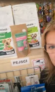 Koťátka (kluci) britského typu bez PP