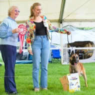 Belgický ovčák – Malinois