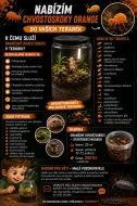 MicroTerarium