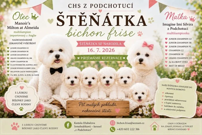 Bišonek štěňátka s PP
