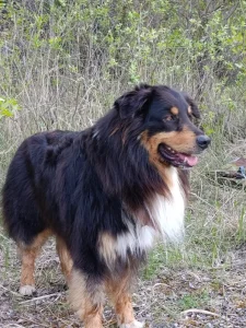 Max