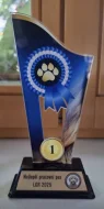 Lagotto Romagnolo - štěňátka s PP