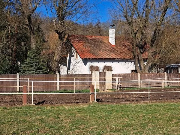 Hospodyně, asistentka a práce u koní