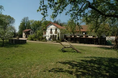 Jezdec, ošetřovatel, podkoní