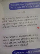Kočičky zdarma do dobrých rukou