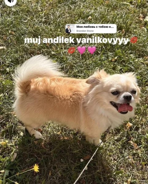 civava 3 roky