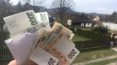 nabídka