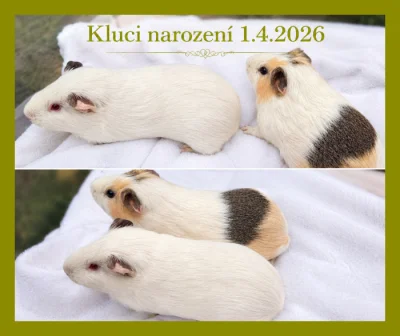 MORČECÍ KLUCI – POUZE SPOLU