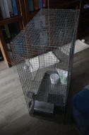 Daruji klec pro činčilu za odvoz - Praha 5 - Barrandov