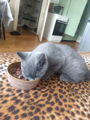 💙 NÁŠ POSLEDNÍ CHLAPEČEK HLEDÁ SVOU MILUJÍCÍ RODINU 🏡🐾