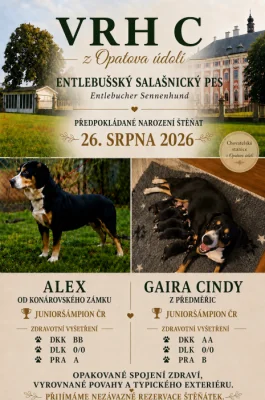 entlebušský salašnický pes s PP FCI