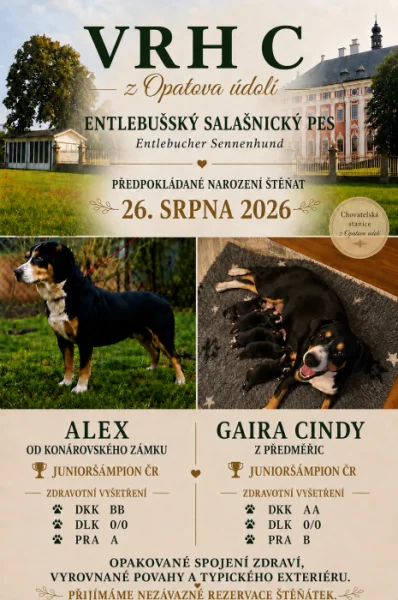 entlebušský salašnický pes s PP FCI