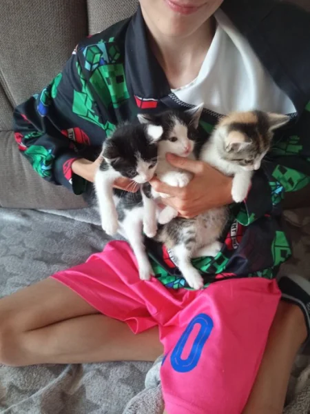 Darujeme koťátka nemůžeme si je nechat