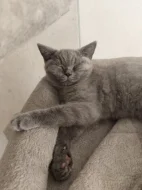 🐾 TŘI MĚSÍCE… A POŘÁD ČEKÁ NA SVOU RODINU ❤️