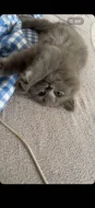 🐾 TŘI MĚSÍCE… A POŘÁD ČEKÁ NA SVOU RODINU ❤️