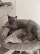 🐾 TŘI MĚSÍCE… A POŘÁD ČEKÁ NA SVOU RODINU ❤️