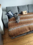🐾 TŘI MĚSÍCE… A POŘÁD ČEKÁ NA SVOU RODINU ❤️