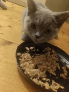 🐾 TŘI MĚSÍCE… A POŘÁD ČEKÁ NA SVOU RODINU ❤️