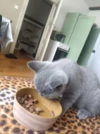🐾 TŘI MĚSÍCE… A POŘÁD ČEKÁ NA SVOU RODINU ❤️