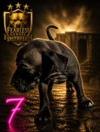 Štěňata Amerického Pitbulteriéra, Pitbull