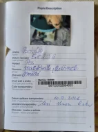Štěňata