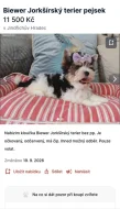 Množírna Westík , bígl Jan Jůna a Eva Sklenková