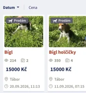 Množírna Westík , bígl Jan Jůna a Eva Sklenková