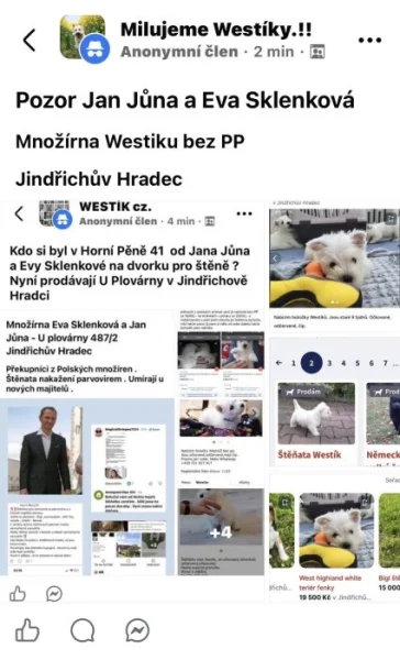 Množírna Westík , bígl Jan Jůna a Eva Sklenková