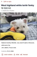 Množírna Westík , bígl Jan Jůna a Eva Sklenková