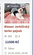 Množírna Westík , bígl Jan Jůna a Eva Sklenková