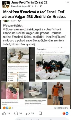 Množírna Jezevčici Jindřichův Hradec Fencl Roman