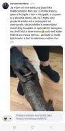 Množírna Jezevčici Jindřichův Hradec Fencl Roman