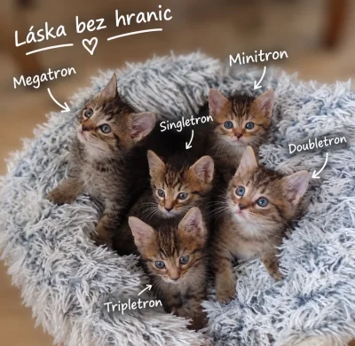 Láska bez hranic