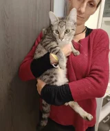 Kocourek Radegast hledá nový domov