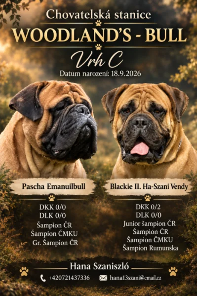 Bullmastif, Bullmastiff, Bulmastif