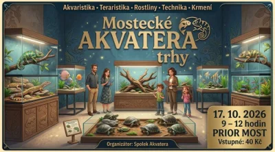 Mostecké akvatera trhy