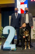 Nabízím ke krytí chovného psa plemene SHIKOKU s průkazem původu FCI a NIPPO. Pes je zdravý, v plné kondici a má vyrovnanou, přátelskou povahu.