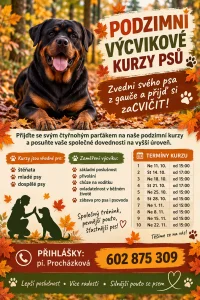 zvedni svého psa z gauče