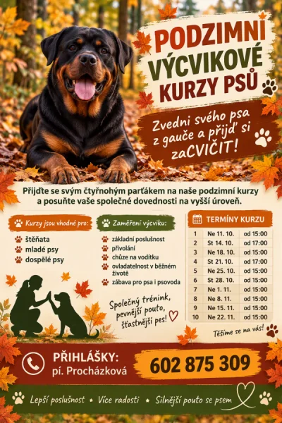 zvedni svého psa z gauče
