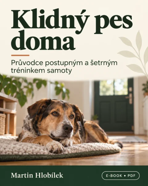 Klidný pes doma – e-book o tréninku samoty (PDF)