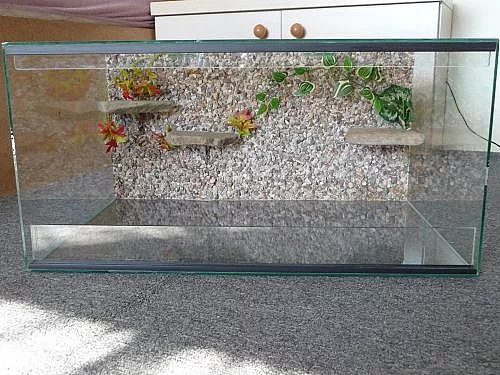 terarium 60x40x30