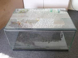 terarium 60x40x30