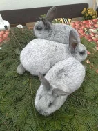Prodám králíky Velké světlé stříbrné