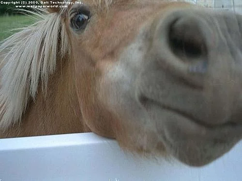 Hledám práci v zemědělství