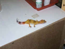 Aktualizovaná nabídka