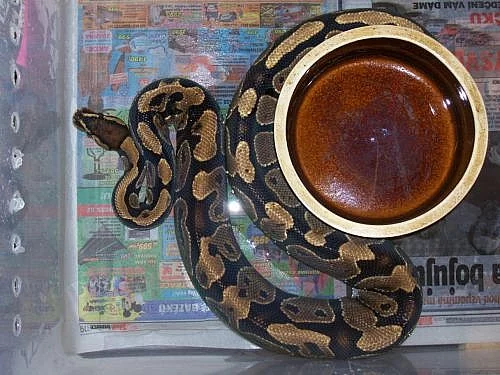 Aktualizovaná nabídka