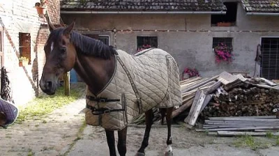 Různé vybavení moc spěchá ceny i s poštovným
