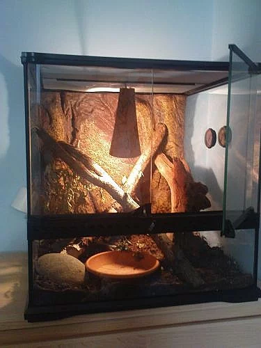 Prodám Terárium